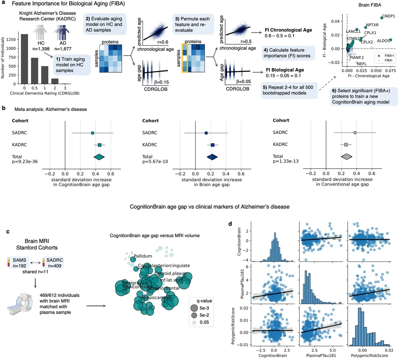Aging-associated diseases