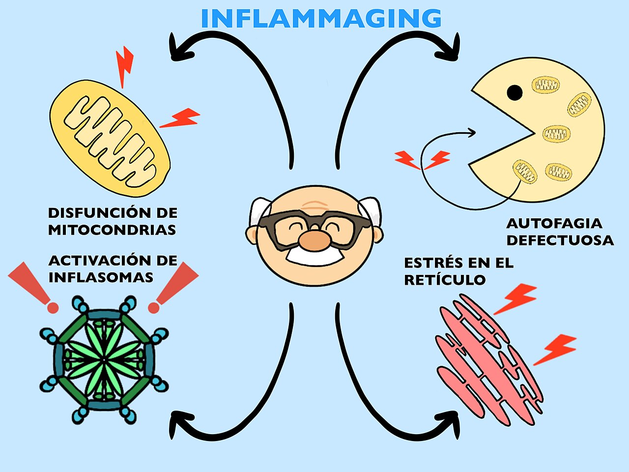 Aging-associated diseases