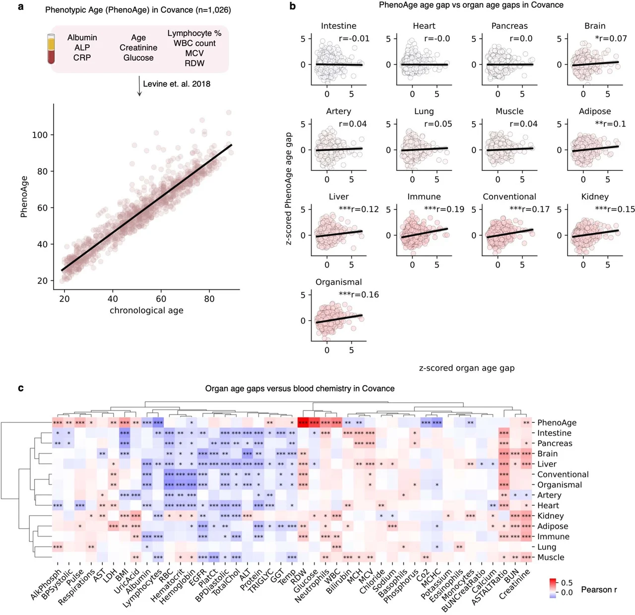 Aging-associated diseases